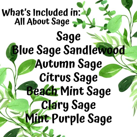 Aromatherapy Oil Diffuser Oil Home Fragrance Oil SAGE Bundle - Picture 2 of 11